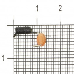 Мормышка вольфрамовая True Weight цена за 1 шт Гвоздешарик гв. d2.5 кош. глаз оранжевый